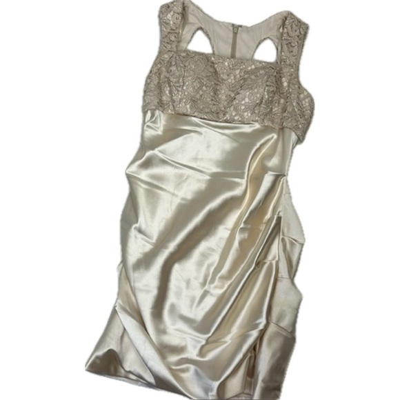 Stunning Embroidered Hailey Satin Champagne Sleeveless Cocktail Mini Dre… - Picture 10 of 14